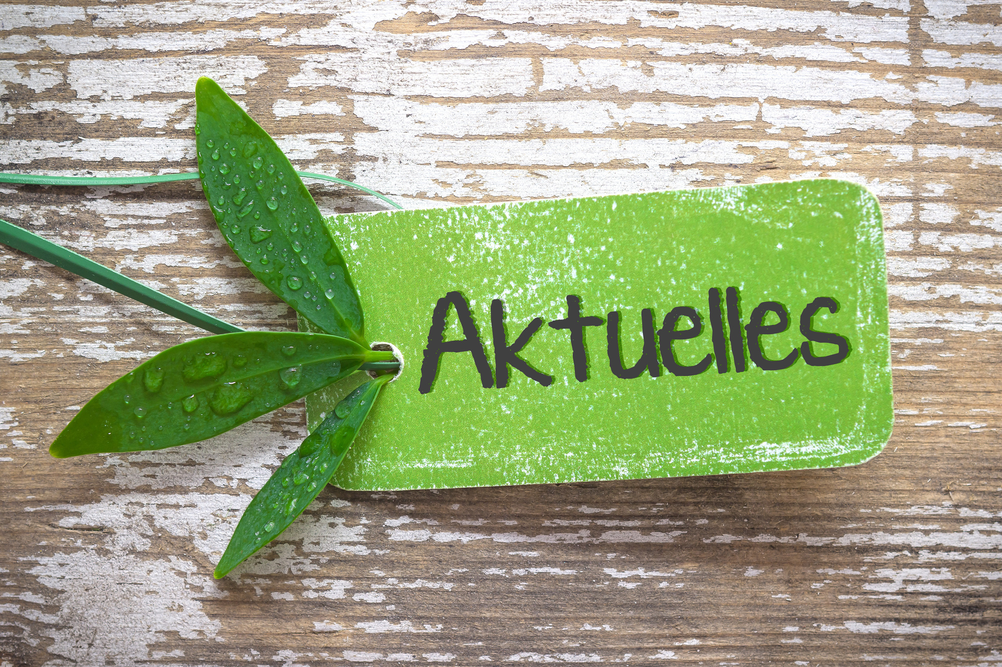 Aktuelles